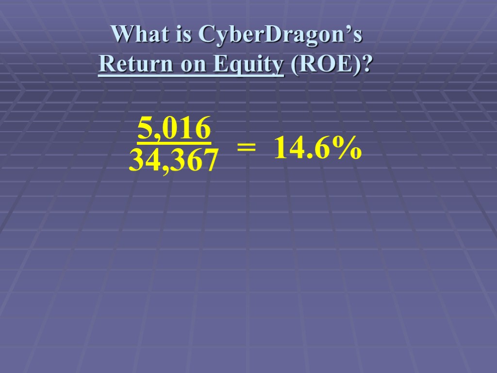 What is CyberDragon’s Return on Equity (ROE)?